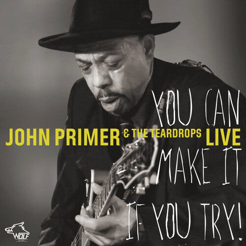 John Primer: You Can Make It If You Try - COMPACT DISCS