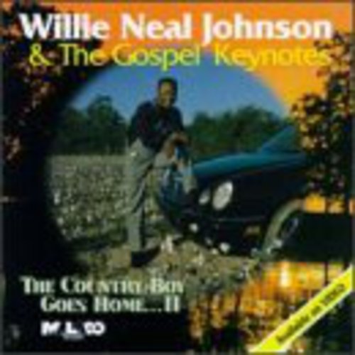 Willie Neal Johnson: Country Boy Goes Home 2 - COMPACT DISCS