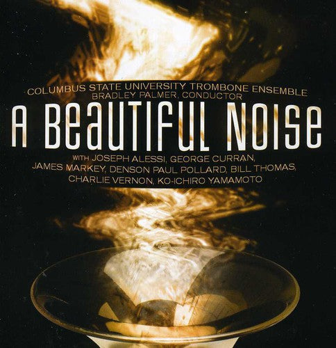 Bradley Palmer: Beautiful Noise - COMPACT DISCS