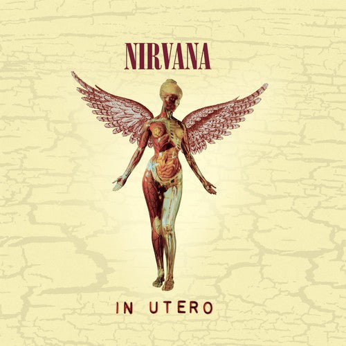 Nirvana: In Utero (20th Anniversary Edition) - COMPACT DISCS