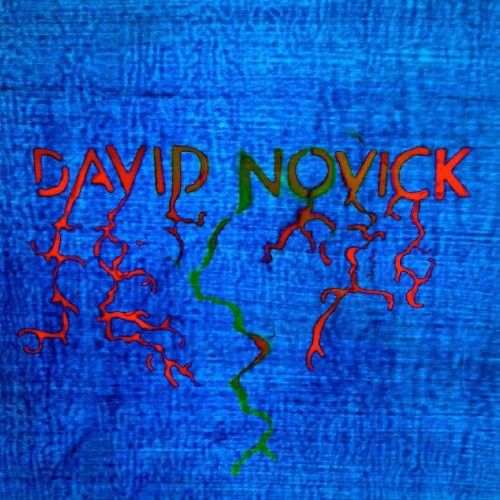 David Novick: David Novick - VINYL LP