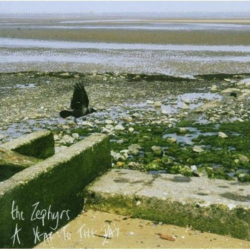 The Zephyrs: Year to the Day - COMPACT DISCS