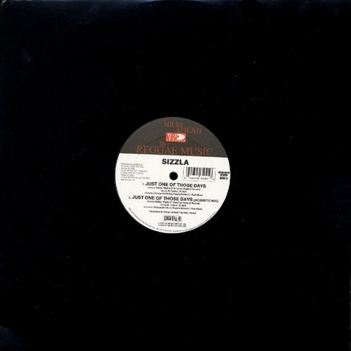 Sizzla: Just One of Those - 12-INCH SINGLE