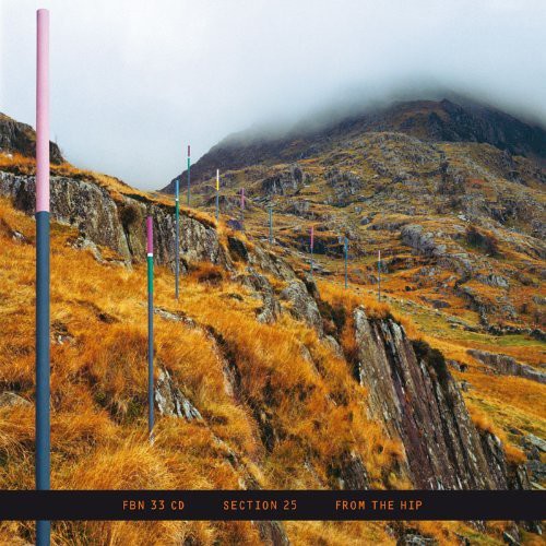 Section 25: From the Hip - COMPACT DISCS