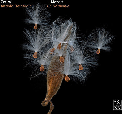 Mozart: En Harmonie - COMPACT DISCS