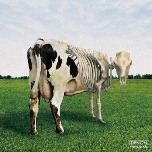 Morgaua Quartet: Atom Heart Mother Is on the Edge - COMPACT DISCS