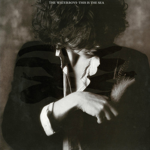The Waterboys: This Is the Sea - VINYL LP