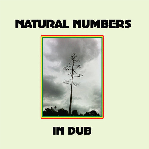 Natural Numbers: Natural Numbers in Dub - VINYL LP
