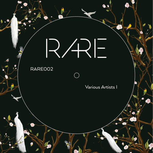 Various Artists: Various Artists I / Various - 12-INCH SINGLE
