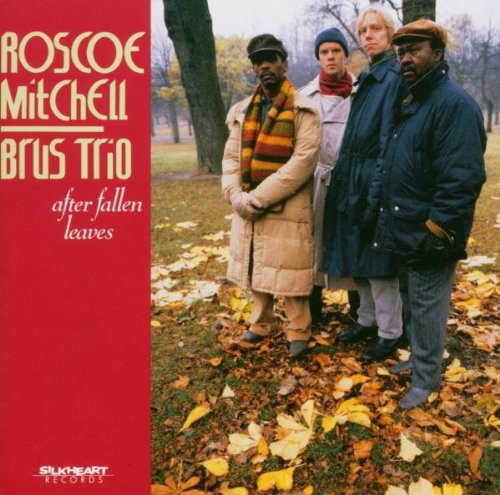 Roscoe Mitchell: After Fallen Leaves - COMPACT DISCS