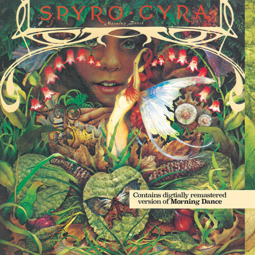 Spyro Gyra: Morning Dance - COMPACT DISCS