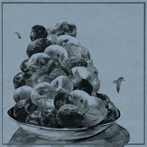 Hop Along: Painted Shut - VINYL LP