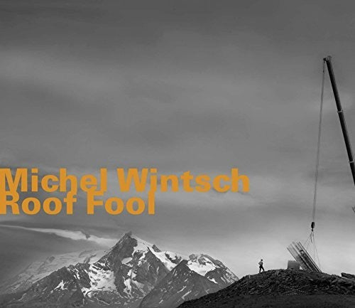Michel Wintsch: Roof Fool - COMPACT DISCS