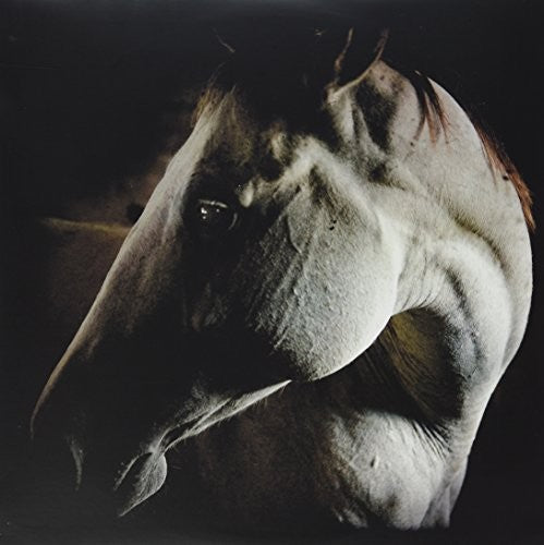 Brother Dege: How to Kill a Horse - VINYL LP