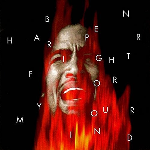 Ben Harper: Fight for Your Mind - VINYL LP