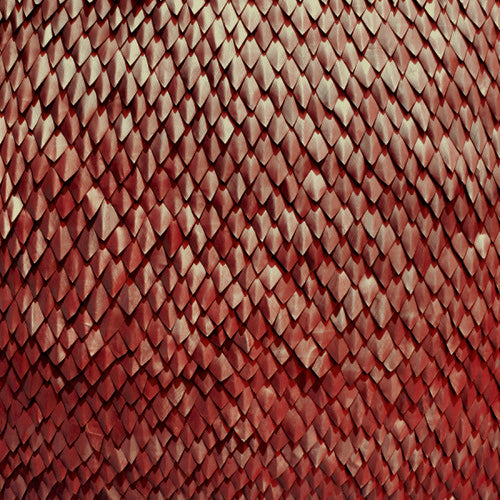 Kill the Vultures: Carnelian - COMPACT DISCS