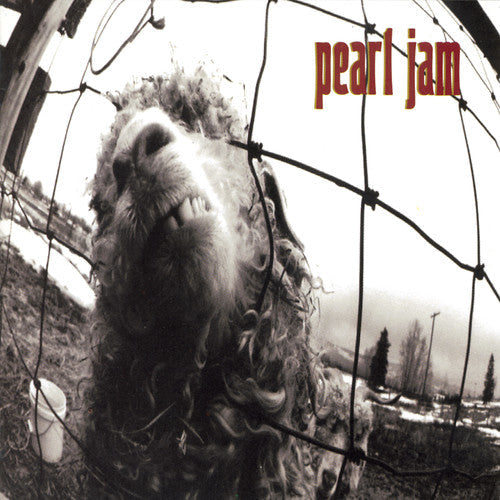 Pearl Jam: Vs. (Original) - COMPACT DISCS