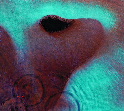 Pink Floyd: Meddle - COMPACT DISCS
