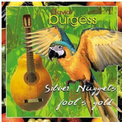 David Burgess: Silver Nuggets & Fool's Gold - COMPACT DISCS