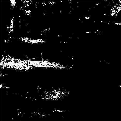 Nax_Acid: Abyssal - 12-INCH SINGLE