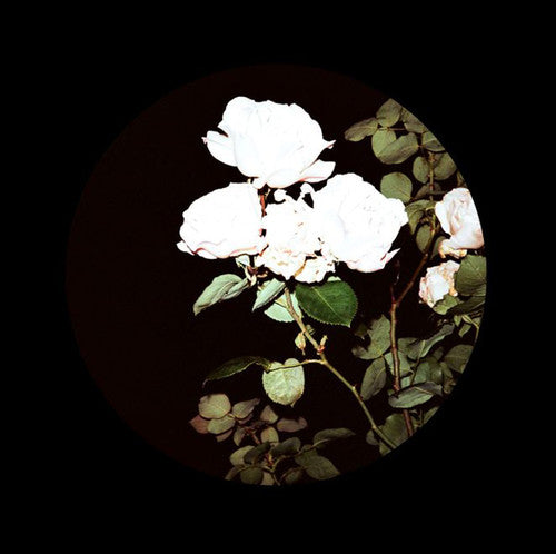 Various Artists: Bpbl01.2 / Various - 12-INCH SINGLE