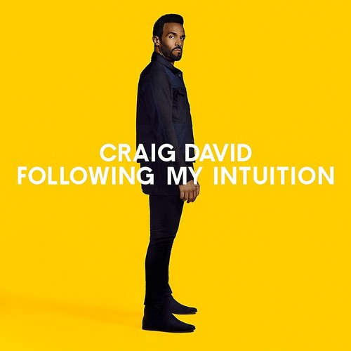 Craig David: Following My Intuition - VINYL LP