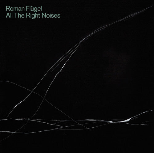 Roman Flugel: All The Right Noises - VINYL LP