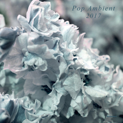 Various Artists: Pop Ambient 2017 / Various - VINYL LP