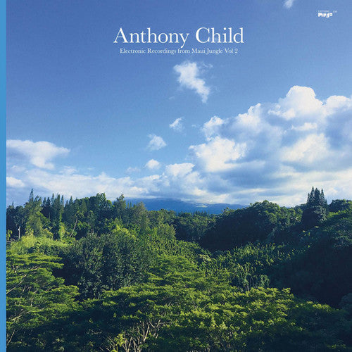 Anthony Child: Electronic Recordings From Maui Jungle 2 - VINYL LP