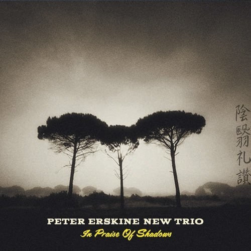 Peter Erskine New Trio: In Praise Of Shadows - COMPACT DISCS
