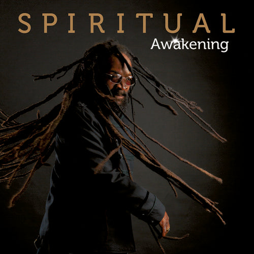 SpiRitual: Awakening - VINYL LP