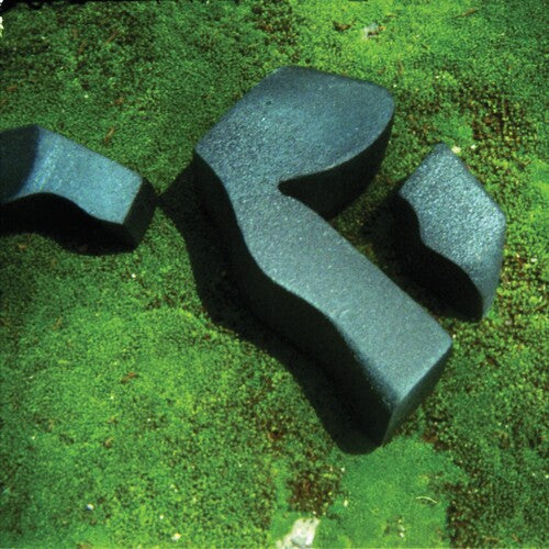 Camila Fuchs: Heart Pressed Between Stones - VINYL LP