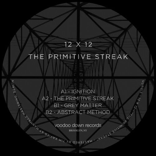 12 X 12: The Primitive Streak - VINYL LP