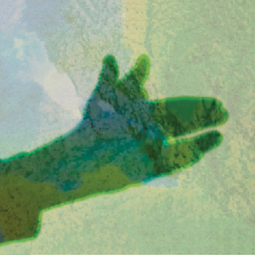 Native Instrument: Camo - VINYL LP