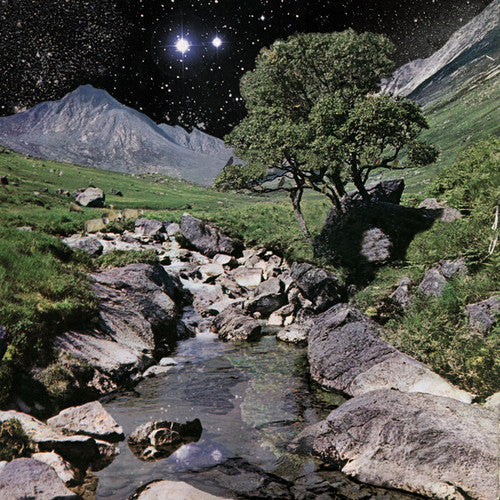 The Beta Band: The Beta Band - VINYL LP