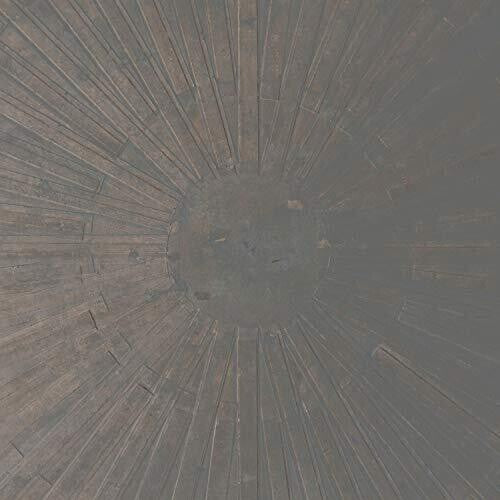 William Basinski: Selva Oscura - COMPACT DISCS