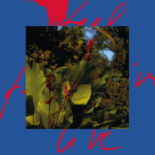 Massimiliano Pagliara: Feel Live - VINYL LP