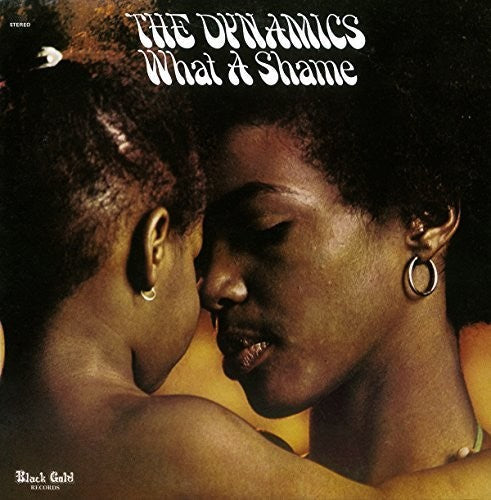 The Dynamics: What A Shame: Expanded - COMPACT DISCS