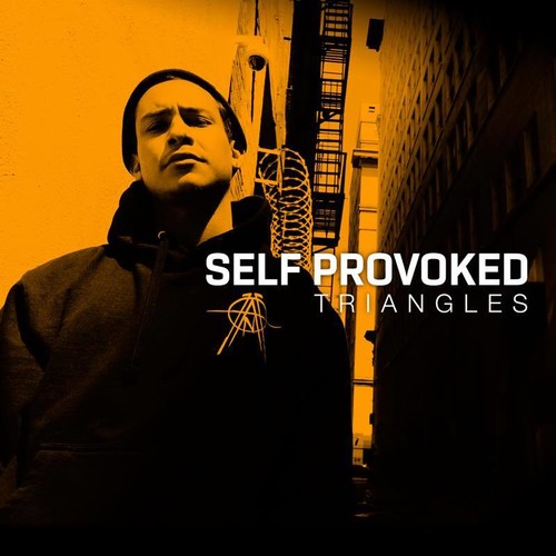 Self Provoked: Triangles - VINYL LP