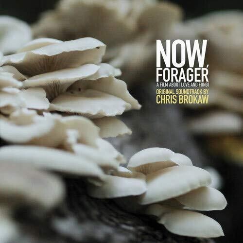 Chris Brokaw: Now Forager (Original Soundtrack) - VINYL LP