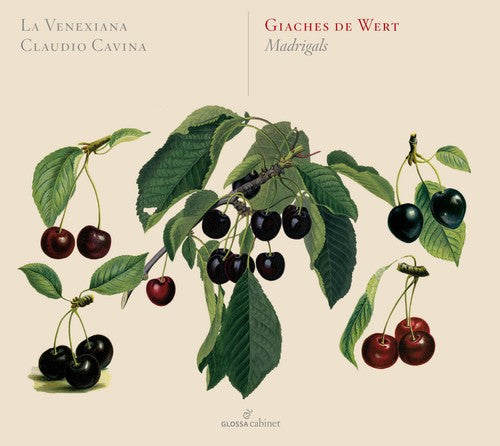 Wert / La Venexiana / Cavina: Giaches de Wert: Madrigali - COMPACT DISCS