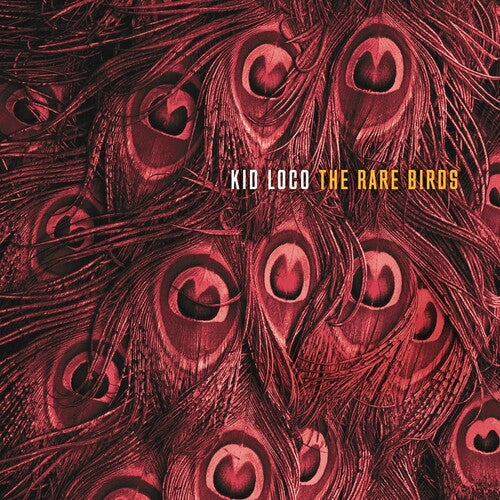 Kid Loco: The Rare Birds - VINYL LP