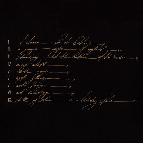 Telefon Tel Aviv: Dreams Are Not Enough - VINYL LP