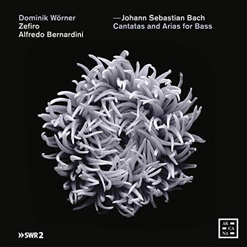 Bach, J.S. / Bernardini / Worner: Cantatas & Arias for Bass - COMPACT DISCS