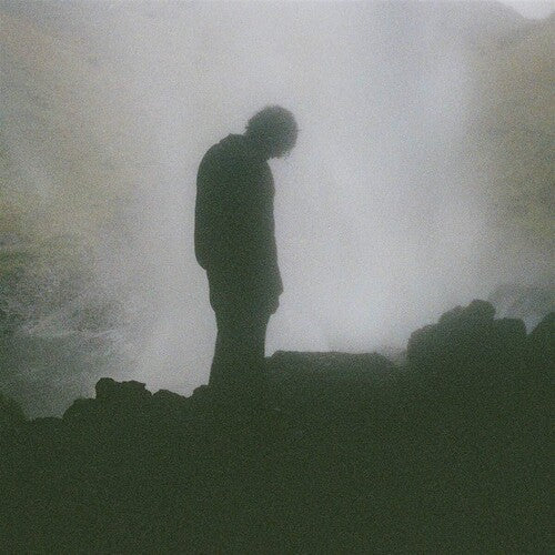 Palmistry: Afterlife - VINYL LP