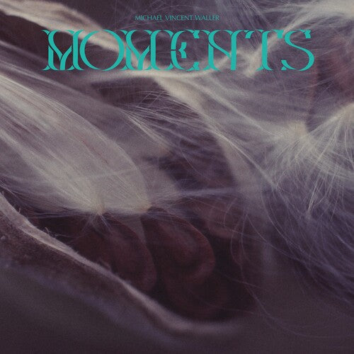 Michael Vincent Waller: Moments - VINYL LP