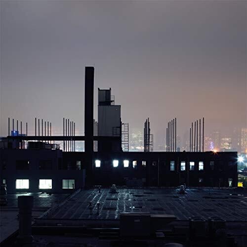 Remo Seeland: Hollow Body - VINYL LP