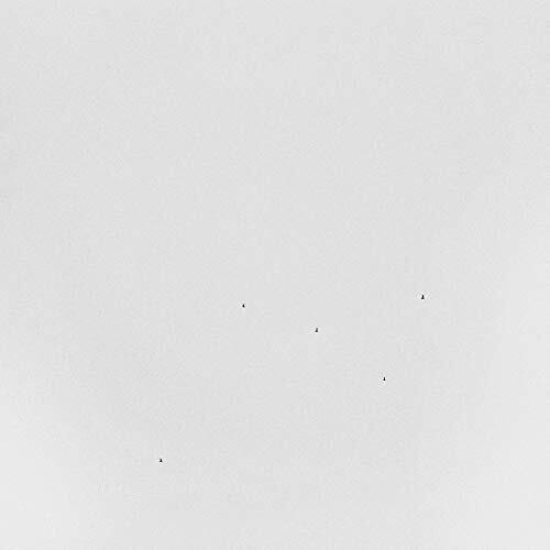 Todd Anderson-Kunert: Conjectures - VINYL LP