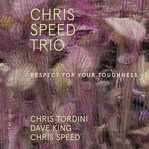 Chris Speed Trio: Respect for Your Toughness - COMPACT DISCS