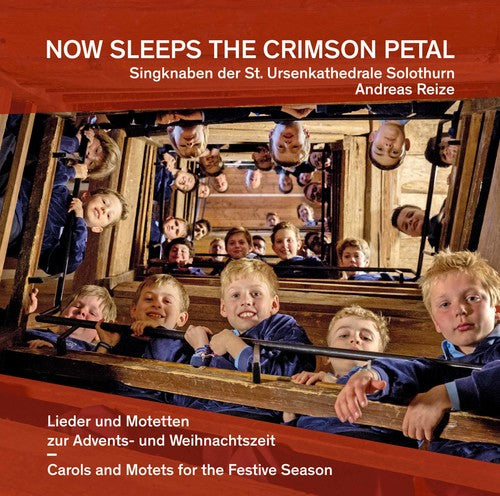 Antognini: Now Sleeps the Crimson Petal - COMPACT DISCS